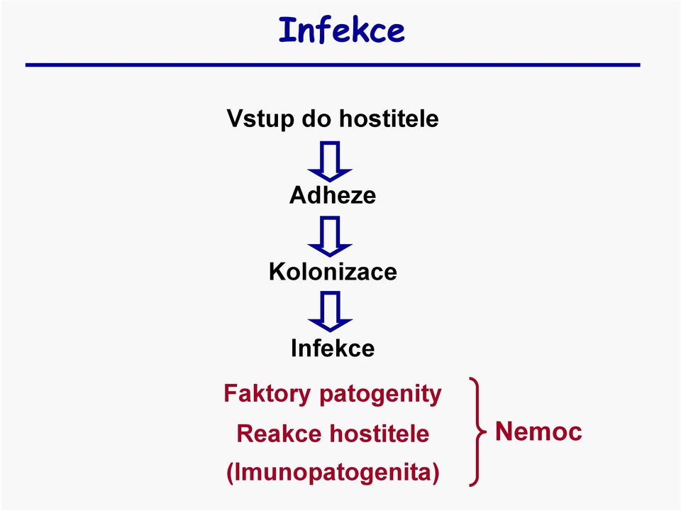 Faktory patogenity Reakce