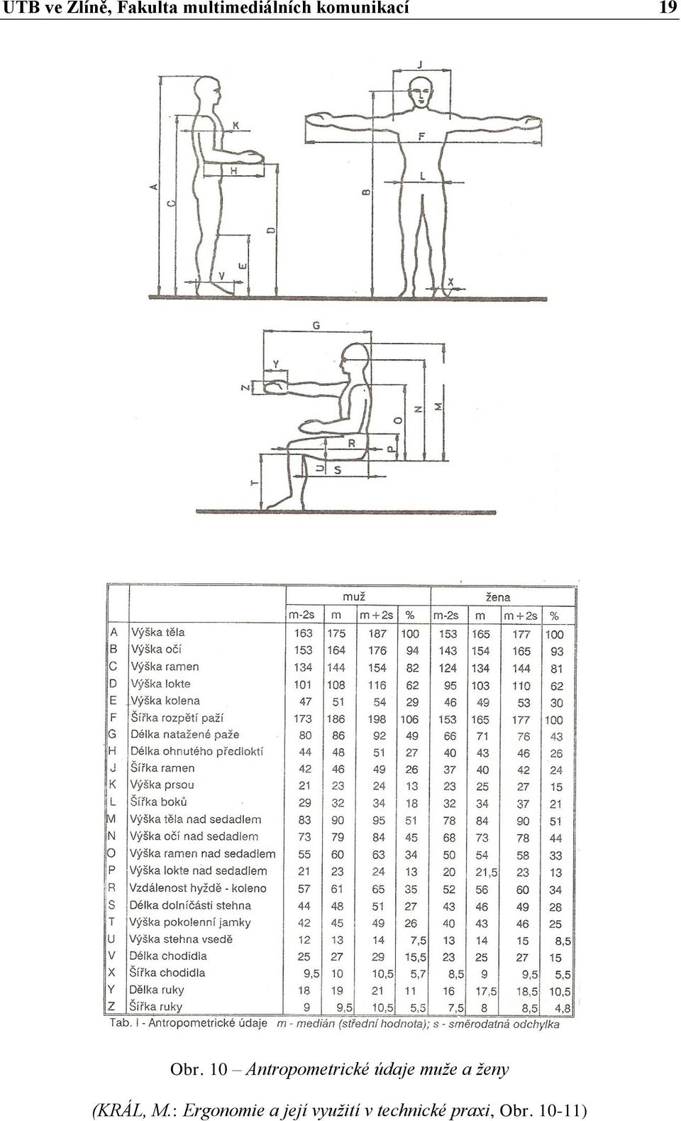 10 Antropometrické údaje muže a ženy