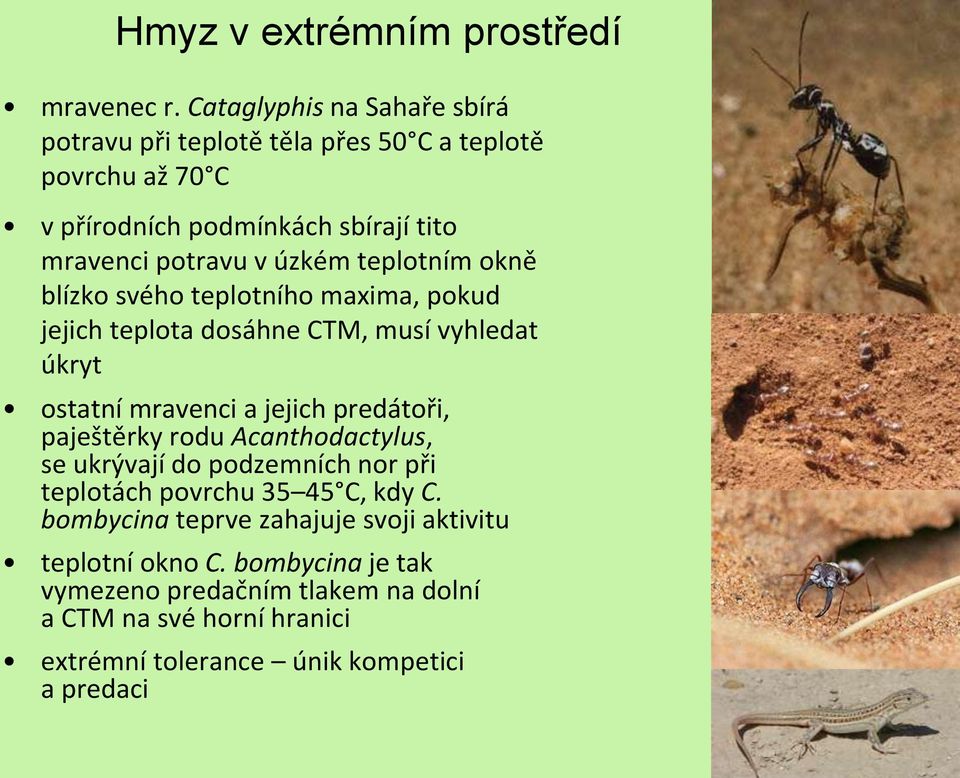 úzkém teplotním okně blízko svého teplotního maxima, pokud jejich teplota dosáhne CTM, musí vyhledat úkryt ostatní mravenci a jejich predátoři,