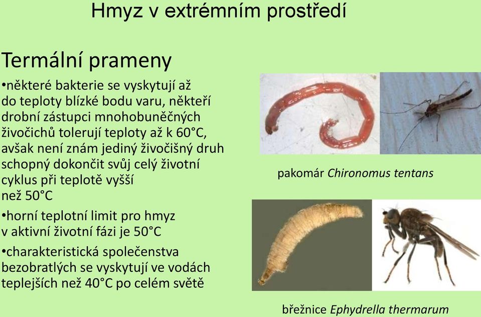 při teplotě vyšší než 50 C horní teplotní limit pro hmyz v aktivní životní fázi je 50 C charakteristická společenstva