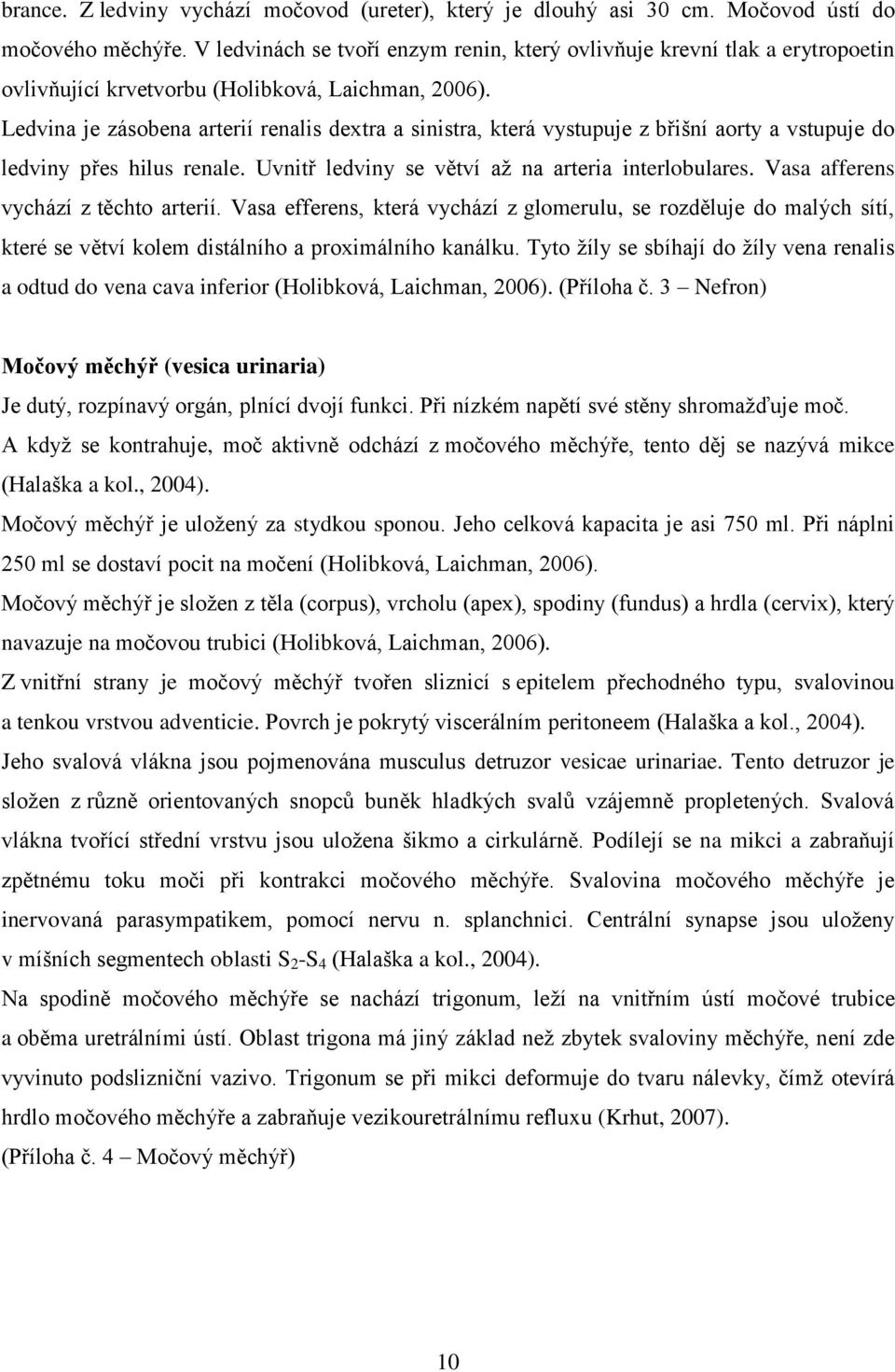 Ledvina je zásobena arterií renalis dextra a sinistra, která vystupuje z břišní aorty a vstupuje do ledviny přes hilus renale. Uvnitř ledviny se větví aţ na arteria interlobulares.