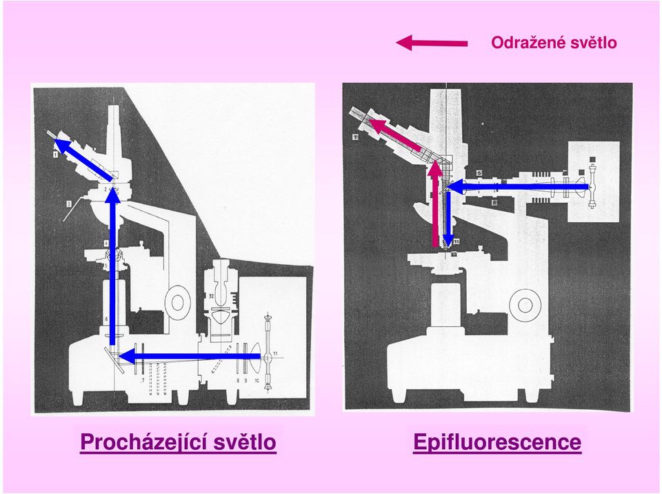 Procházející