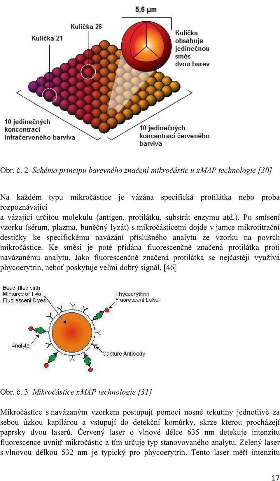 Po smísení vzorku (sérum, plazma, bunný lyzát) s mikroásticemi dojde v jamce mikrotitraní destiky ke specifickému navázání píslušného analytu ze vzorku na povrch mikroástice.