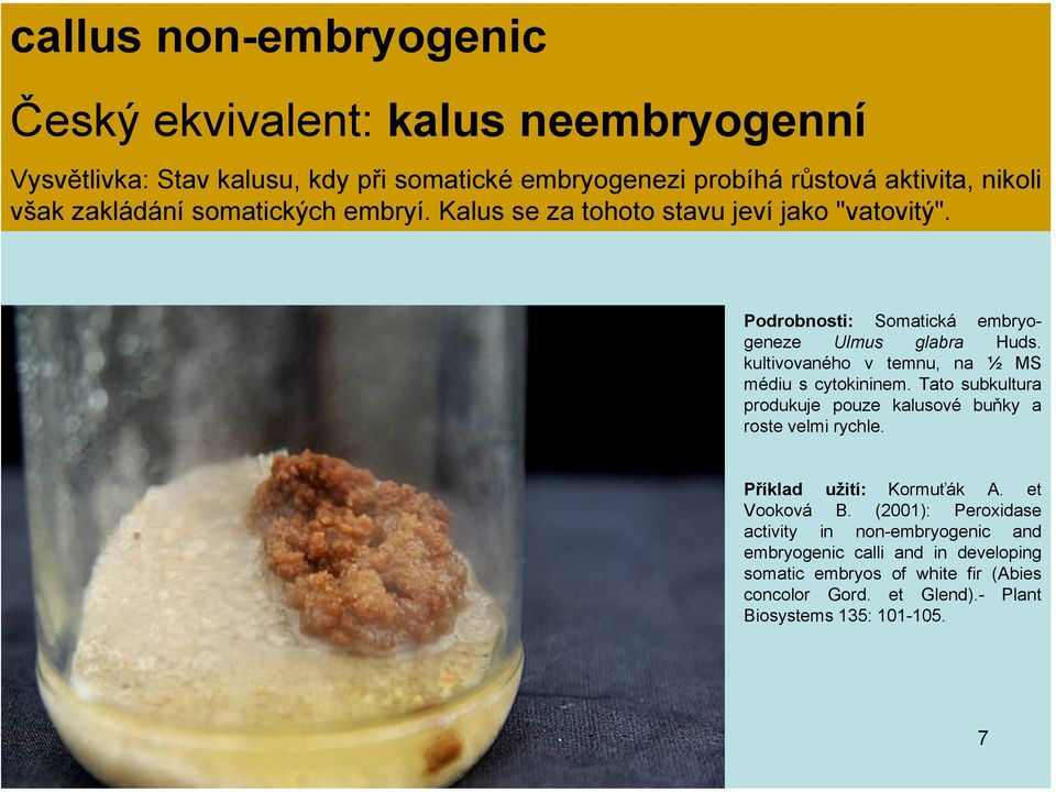 kultivovaného v temnu, na ½ MS médiu s cytokininem. Tato subkultura produkuje pouze kalusové buňky a roste velmi rychle. Příklad užití: Kormuťák A.