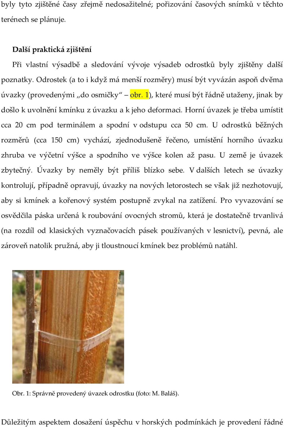 Odrostek (a to i když m{ menší rozměry) musí být vyv{z{n aspoň dvěma úvazky (provedenými do osmičky obr. 1), které musí být ř{dně utaženy, jinak by došlo k uvolnění kmínku z úvazku a k jeho deformaci.