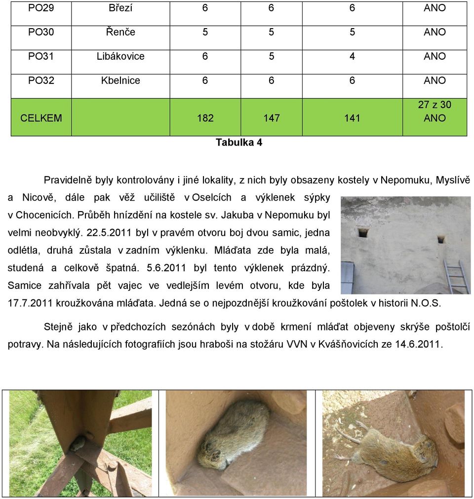 2011 byl v pravém otvoru boj dvou samic, jedna odlétla, druhá zůstala v zadním výklenku. Mláďata zde byla malá, studená a celkově špatná. 5.6.2011 byl tento výklenek prázdný.