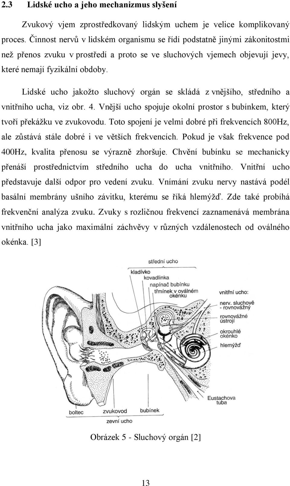 Lidské ucho jakožto sluchový orgán se skládá z vnějšího, středního a vnitřního ucha, viz obr. 4. Vnější ucho spojuje okolní prostor s bubínkem, který tvoří překážku ve zvukovodu.