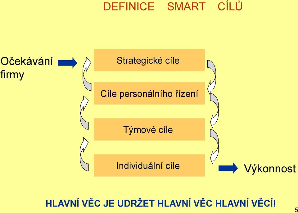 řízení Týmové cíle Individuální cíle