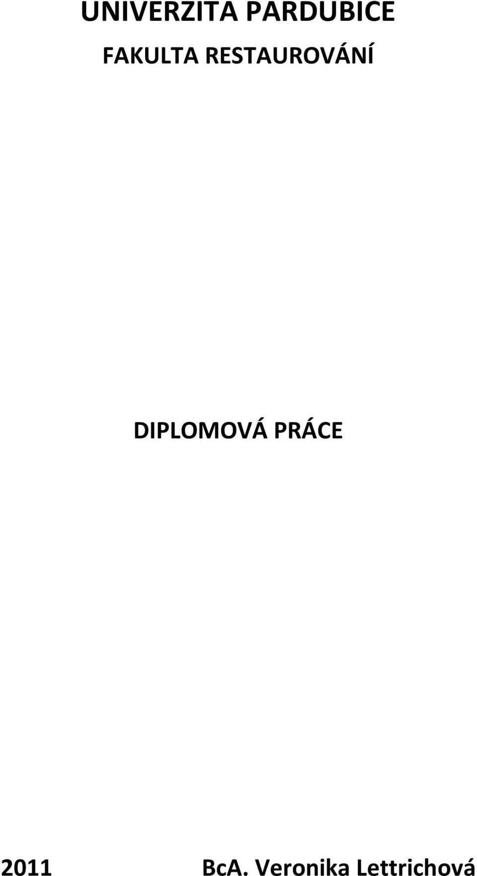 DIPLOMOVÁ PRÁCE 2011