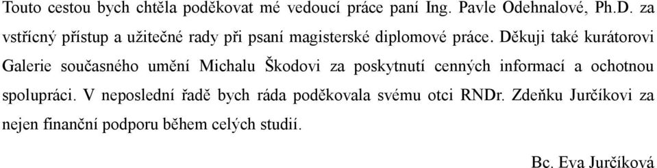 Děkuji také kurátorovi Galerie současného umění Michalu Škodovi za poskytnutí cenných informací a