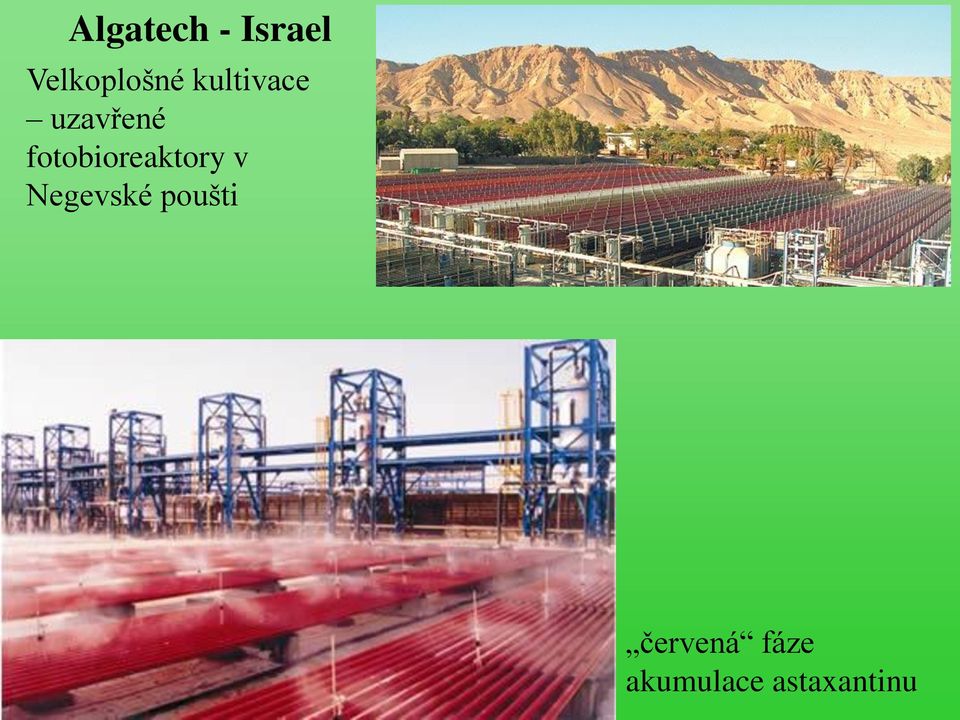 fotobioreaktory v Negevské