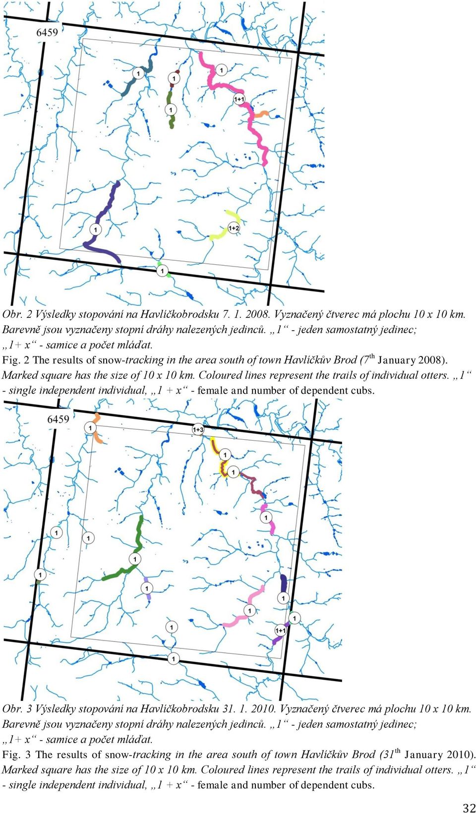 1 - single Obr. 3 Výsledky stopování na Havlíčkobrodsku 31. 1. 2010. Vyznačený čtverec má plochu 10 x 10 km. Barevně jsou vyznačeny stopní dráhy nalezených jedinců.