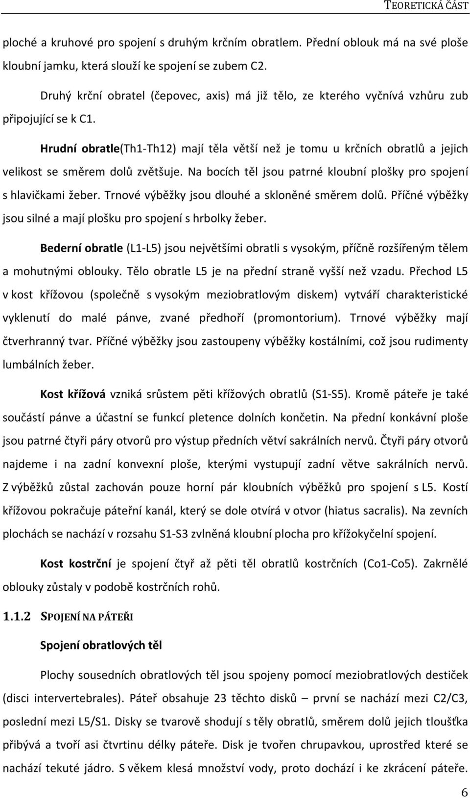 Hrudní obratle(th1-th12) mají těla větší než je tomu u krčních obratlů a jejich velikost se směrem dolů zvětšuje. Na bocích těl jsou patrné kloubní plošky pro spojení s hlavičkami žeber.