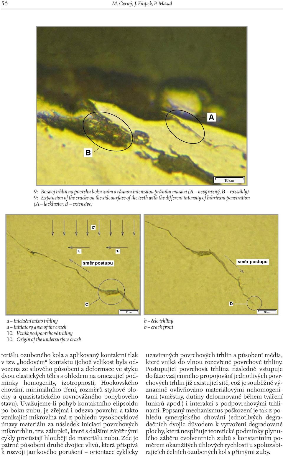 of lubricant penetration (A lackluster, B extensive) směr postupu směr postupu a iniciační místo trhliny a initiatory area of the crack 10: Vznik podpovrchové trhliny 10: Origin of the undersurface