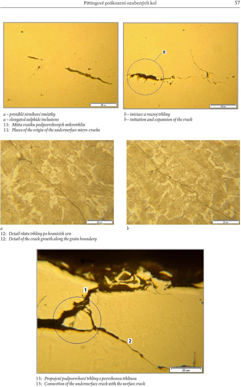 initiation and expansion of the crack a 12: 12: Detail růstu trhliny po hranicích zrn Detail of the crack growth along the