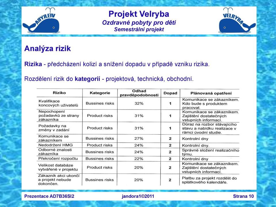 Rozdělení rizik do kategorií - projektová,