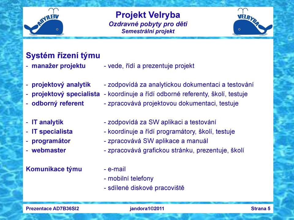 za SW aplikaci a testování - IT specialista - koordinuje a řídí programátory, školí, testuje - programátor - zpracovává SW aplikace a manuál - webmaster -