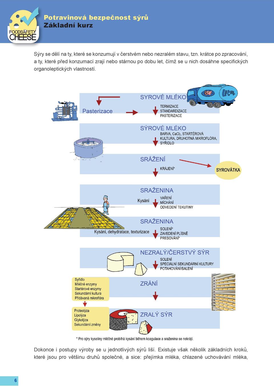 specifických organoleptických vlastností. Dokonce i postupy výroby se u jednotlivých sýrů liší.