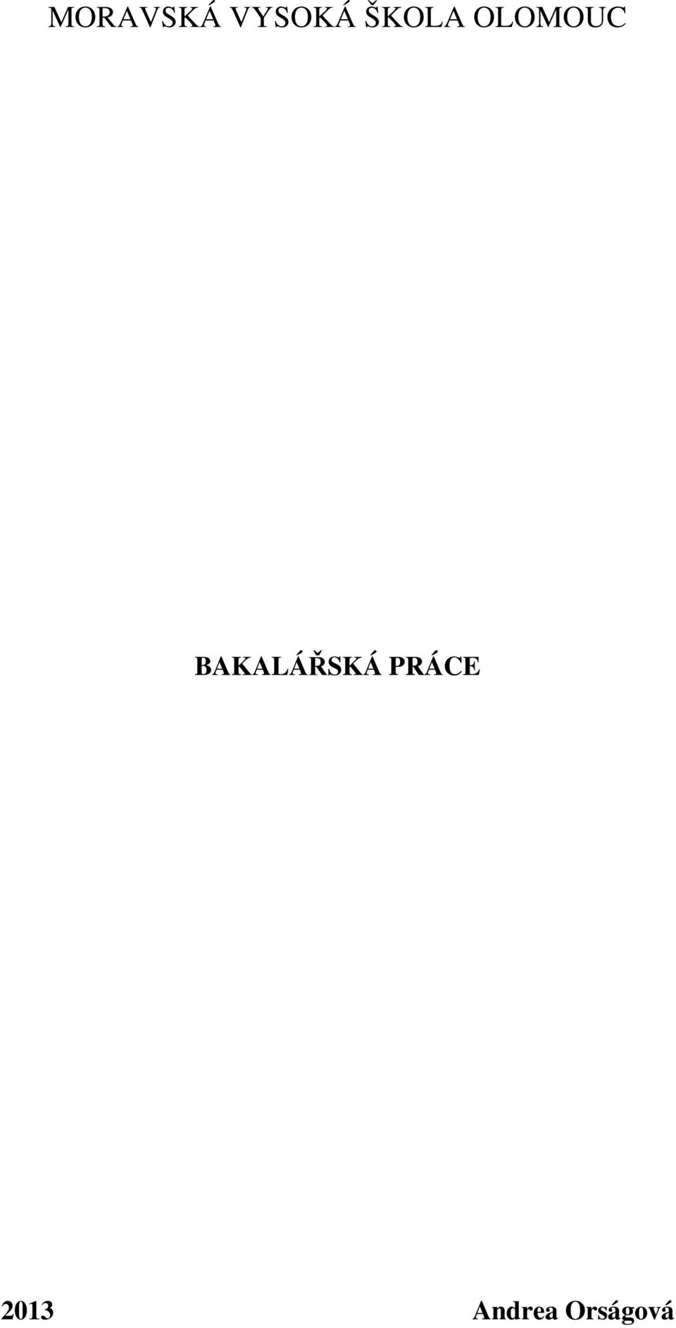 BAKALÁŘSKÁ PRÁCE