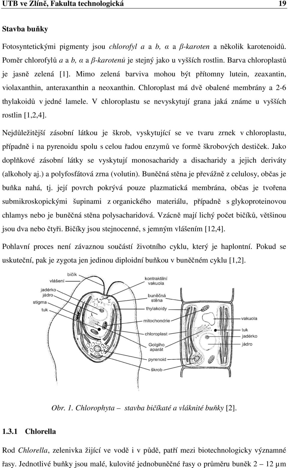 Mimo zelená barviva mohou být přítomny lutein, zeaxantin, violaxanthin, anteraxanthin a neoxanthin. Chloroplast má dvě obalené membrány a 2-6 thylakoidů v jedné lamele.