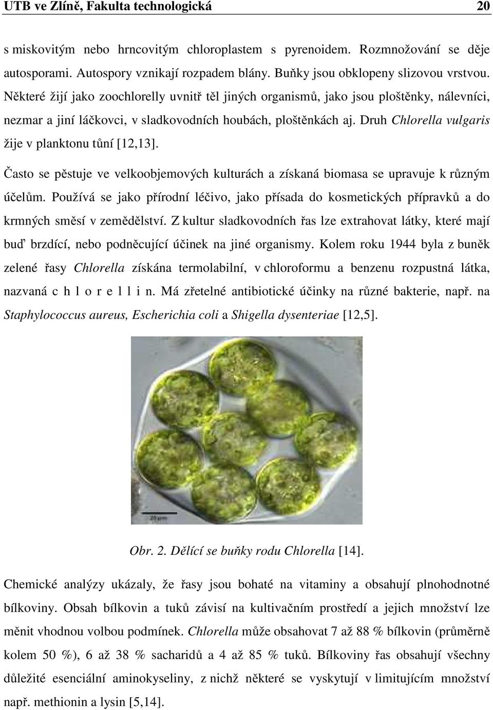 Druh Chlorella vulgaris žije v planktonu tůní [12,13]. Často se pěstuje ve velkoobjemových kulturách a získaná biomasa se upravuje k různým účelům.