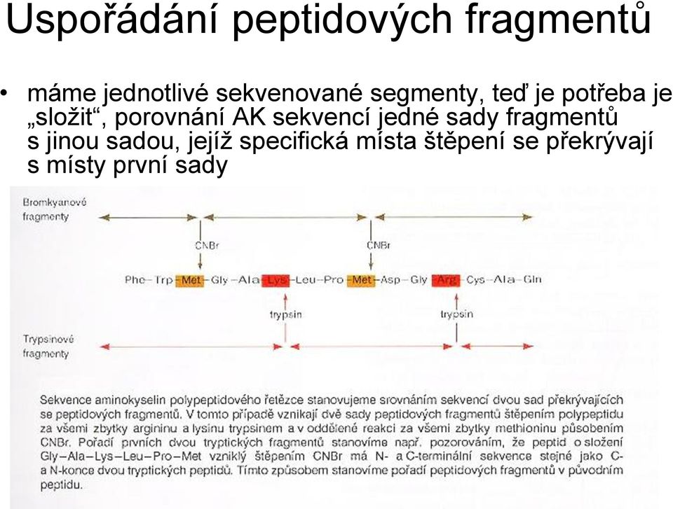 porovnání AK sekvencí jedné sady fragmentů s jinou