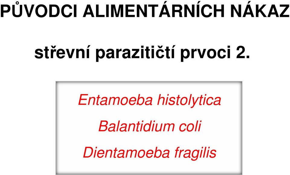 Entamoeba histolytica