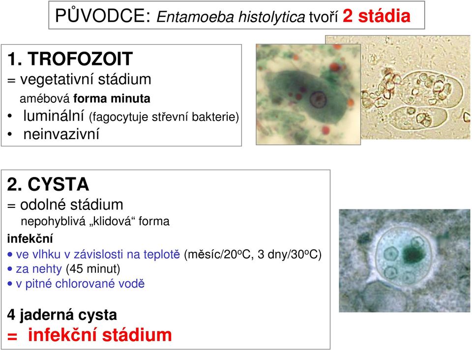 bakterie) neinvazivní 2.