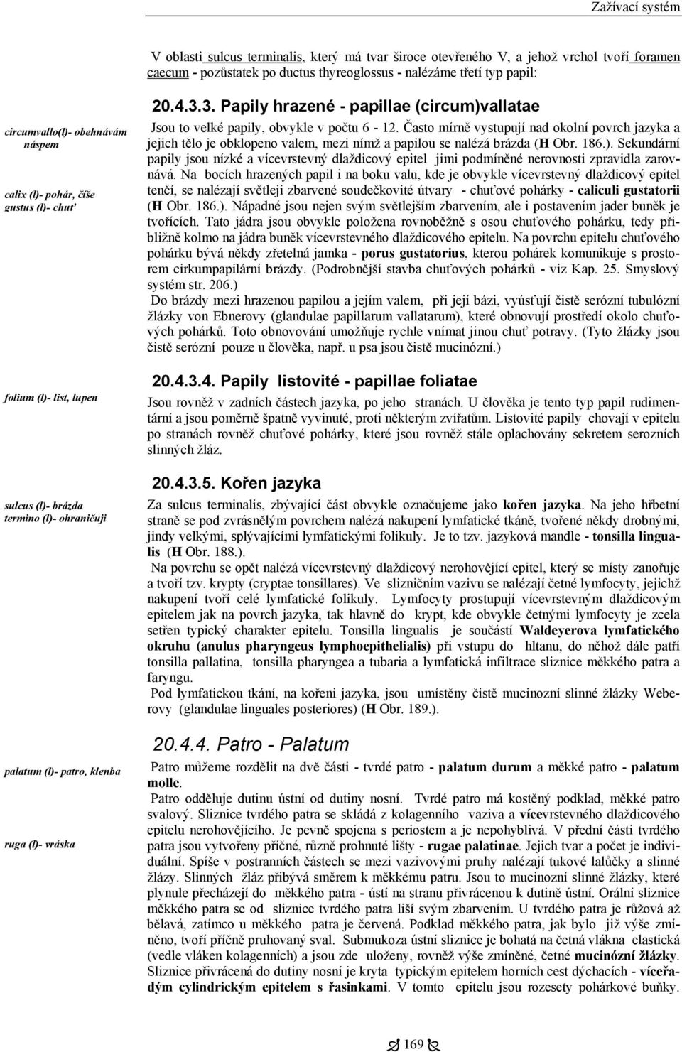 3. Papily hrazené - papillae (circum)vallatae Jsou to velké papily, obvykle v počtu 6-12.