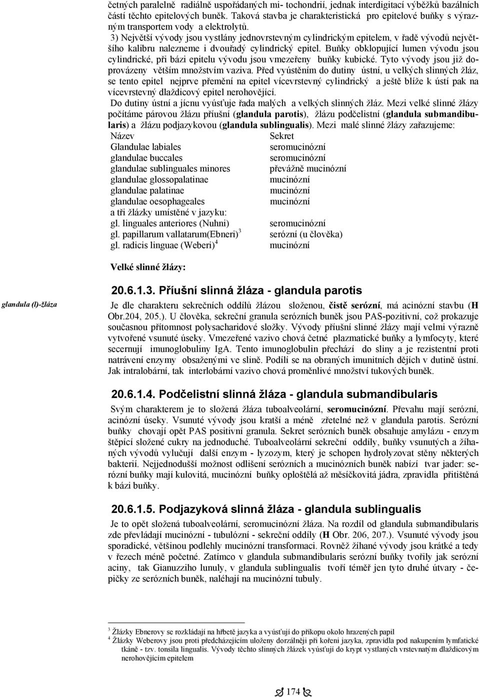 3) Největší vývody jsou vystlány jednovrstevným cylindrickým epitelem, v řadě vývodů největšího kalibru nalezneme i dvouřadý cylindrický epitel.