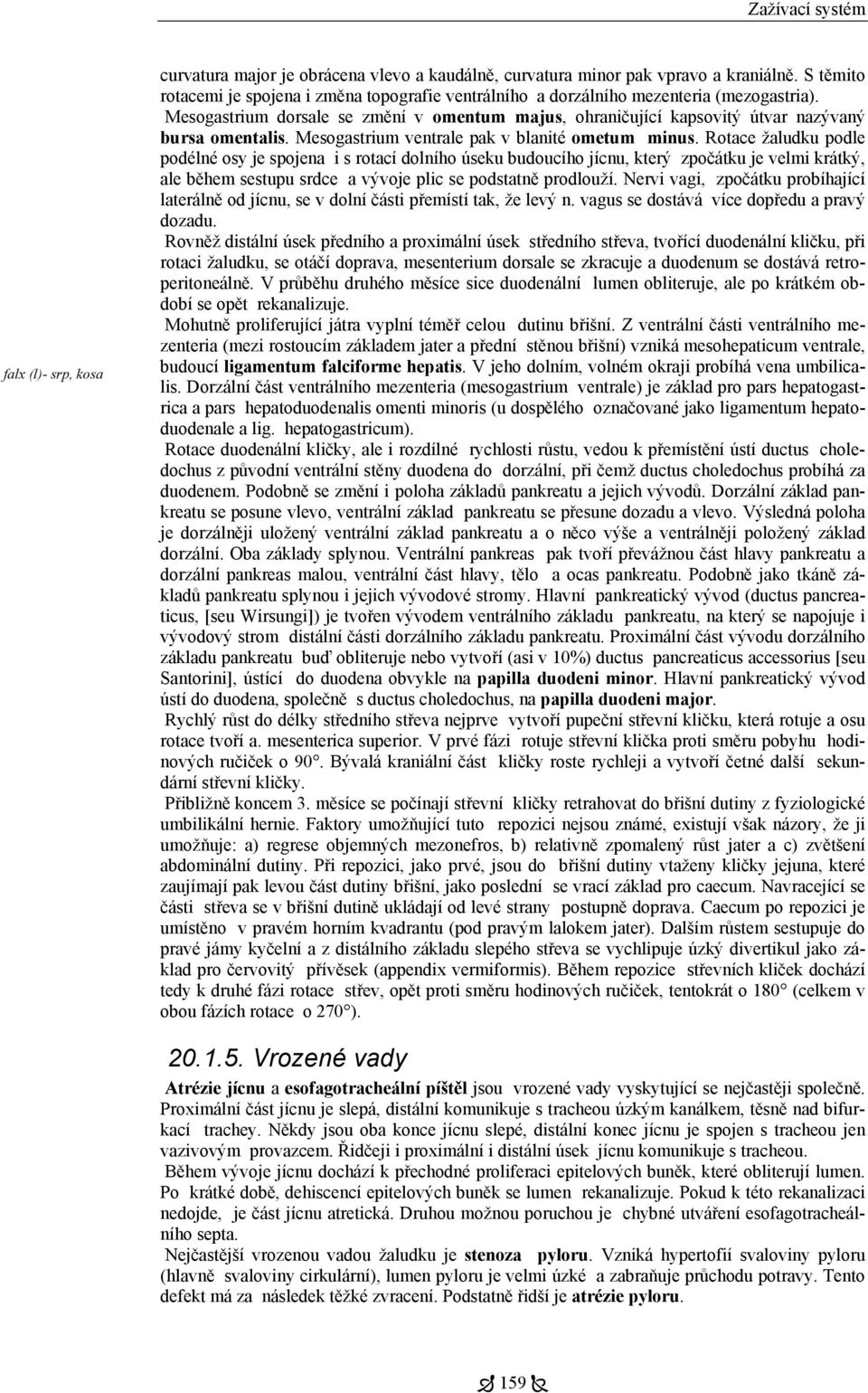 Mesogastrium ventrale pak v blanité ometum minus.