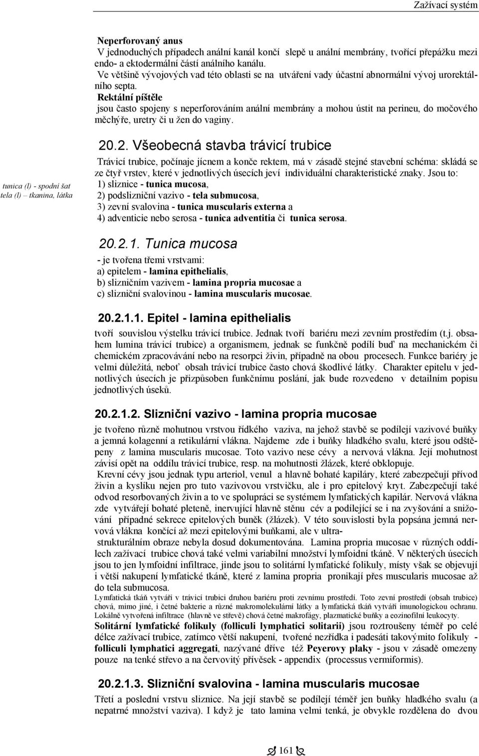 Rektální píštěle jsou často spojeny s neperforováním anální membrány a mohou ústit na perineu, do močového měchýře, uretry či u žen do vaginy. tunica (l) - spodní šat tela (l) tkanina, látka 20