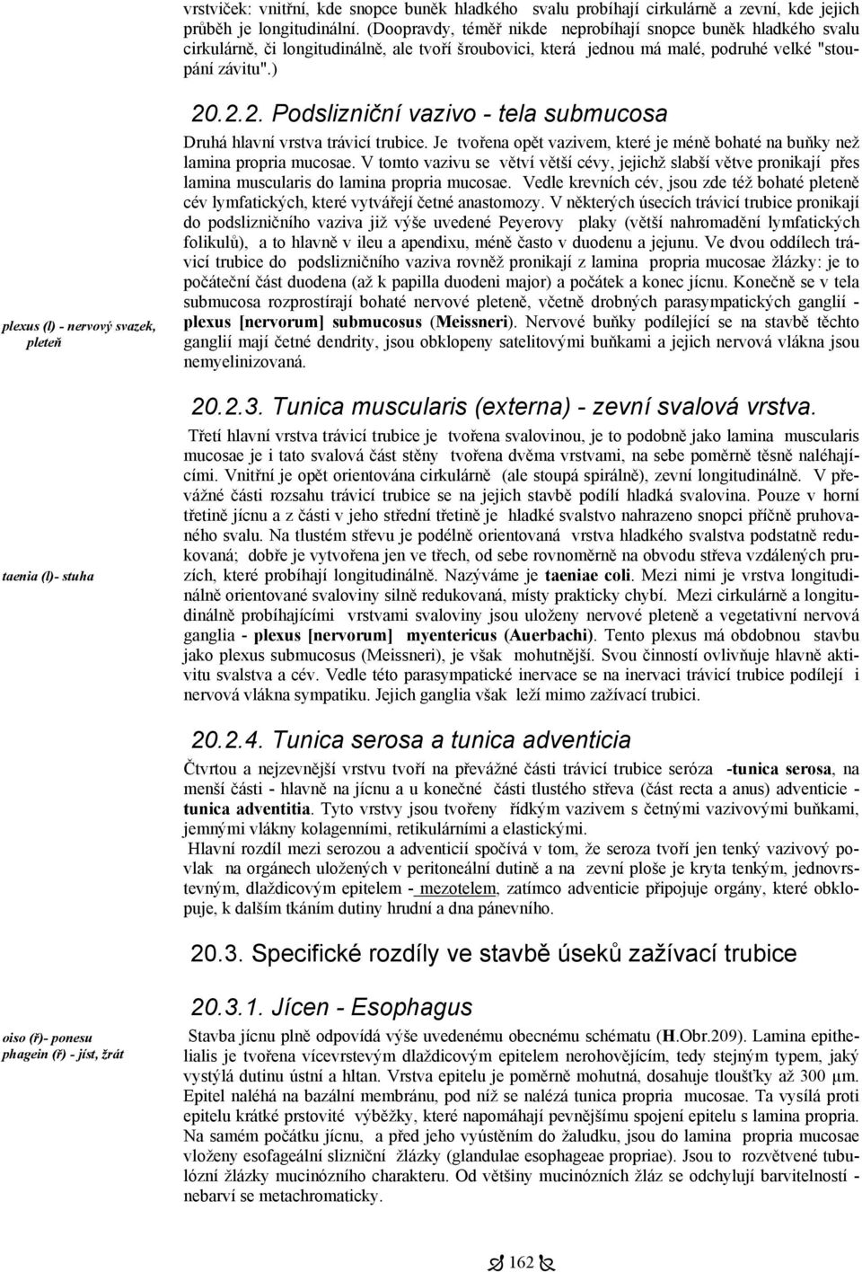 ) plexus (l) - nervový svazek, pleteň taenia (l)- stuha 20.2.2. Podslizniční vazivo - tela submucosa Druhá hlavní vrstva trávicí trubice.