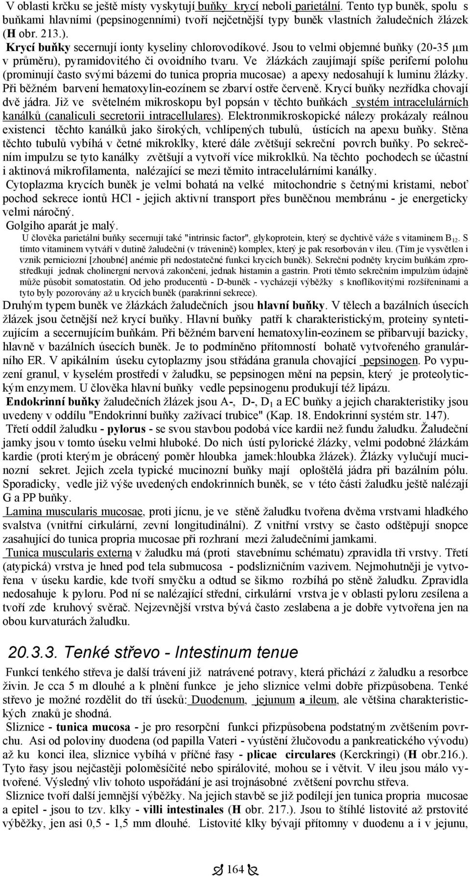 Ve žlázkách zaujímají spíše periferní polohu (prominují často svými bázemi do tunica propria mucosae) a apexy nedosahují k luminu žlázky.