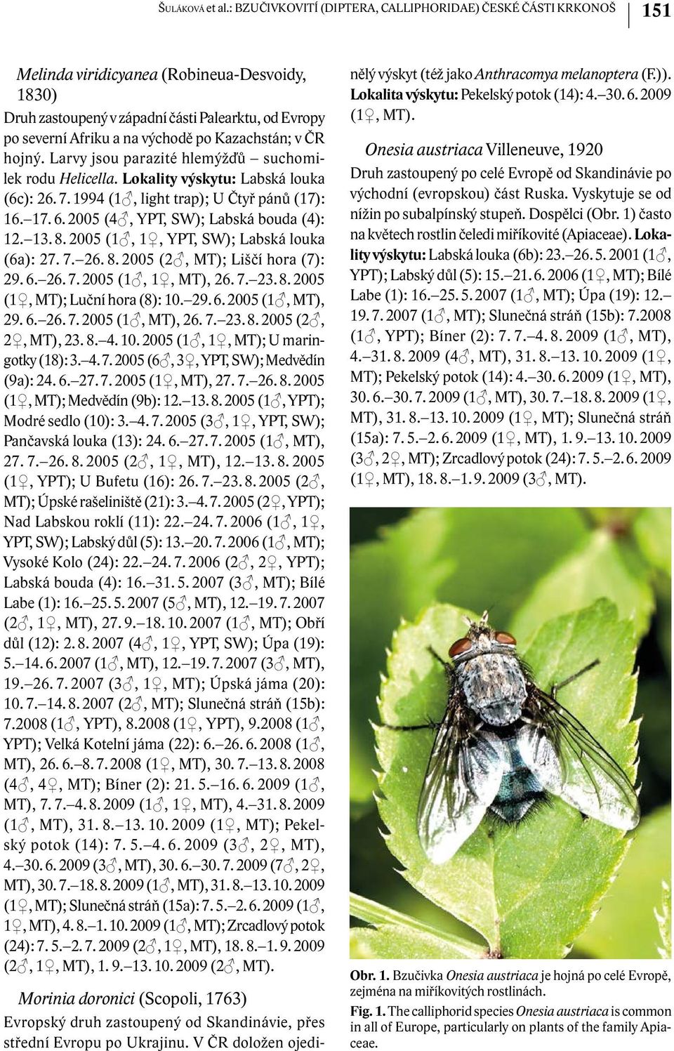 Kazachstán; v ČR hojný. Larvy jsou parazité hlemýžďů suchomilek rodu Helicella. Lokality výskytu: Labská louka (6c): 26. 7. 1994 (1, light trap); U Čtyř pánů (17): 16. 17. 6.