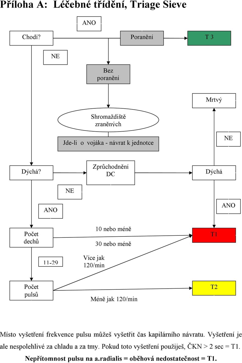 Zprůchodnění DC Dýchá Počet dechů 10 nebo méně 30 nebo méně T1 11-29 Více jak 120/min Počet pulsů Méně jak 120/min T2 Místo