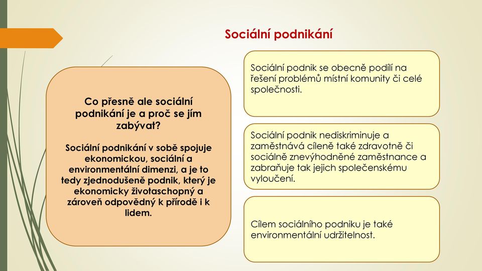 životaschopný a zároveň odpovědný k přírodě i k lidem. Sociální podnik se obecně podílí na řešení problémů místní komunity či celé společnosti.