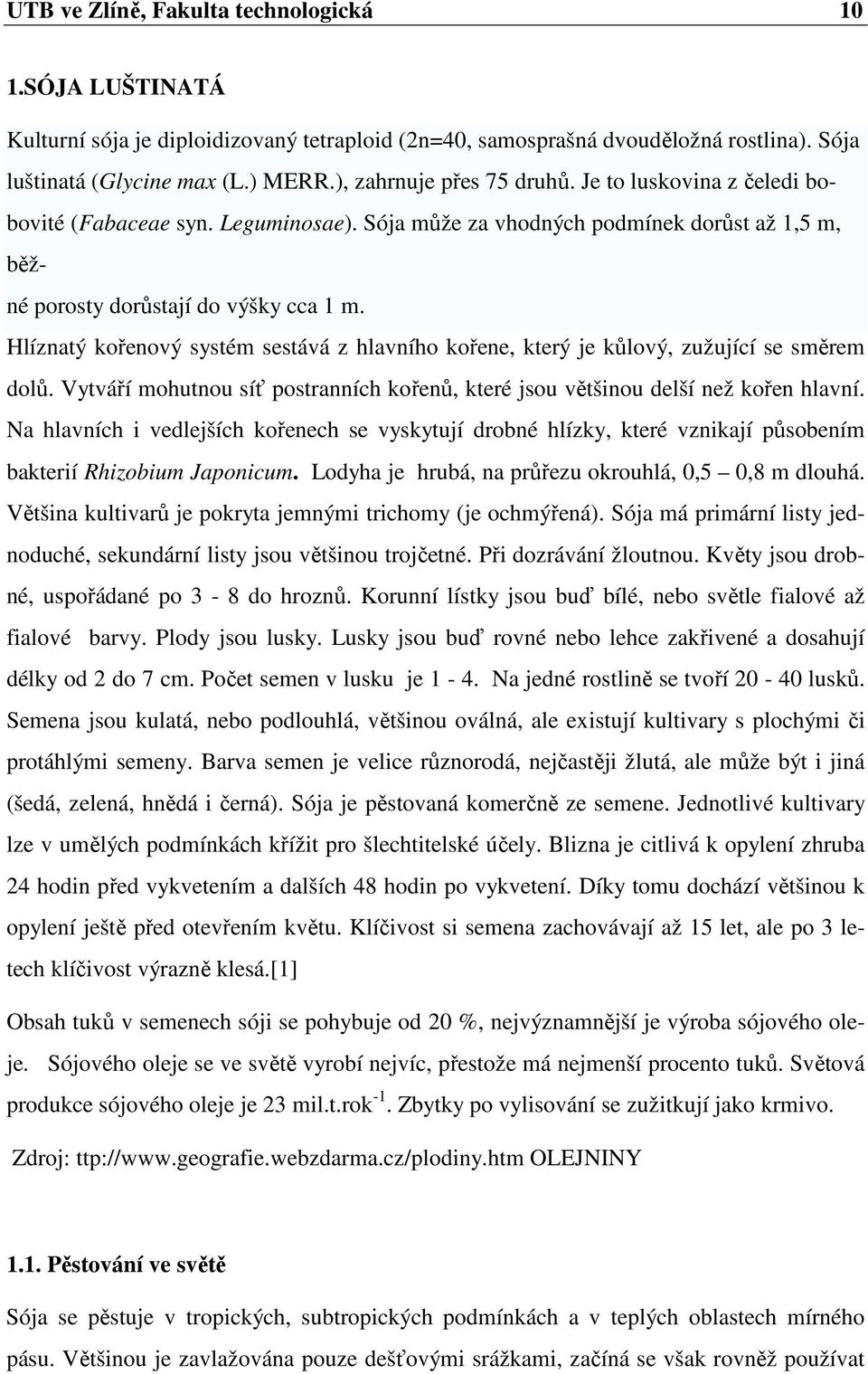 Hlíznatý kořenový systém sestává z hlavního kořene, který je kůlový, zužující se směrem dolů. Vytváří mohutnou síť postranních kořenů, které jsou většinou delší než kořen hlavní.