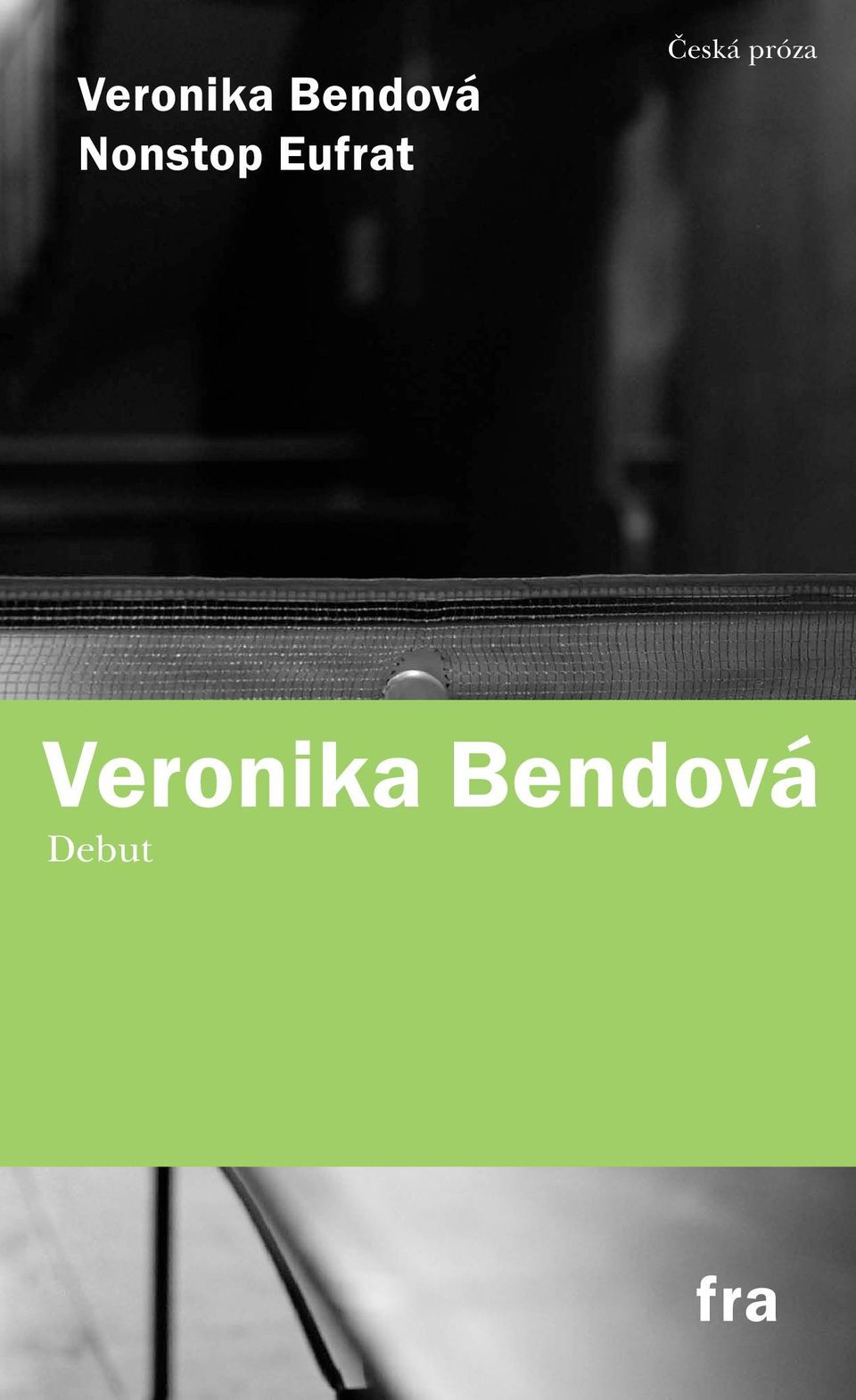 Česká próza 