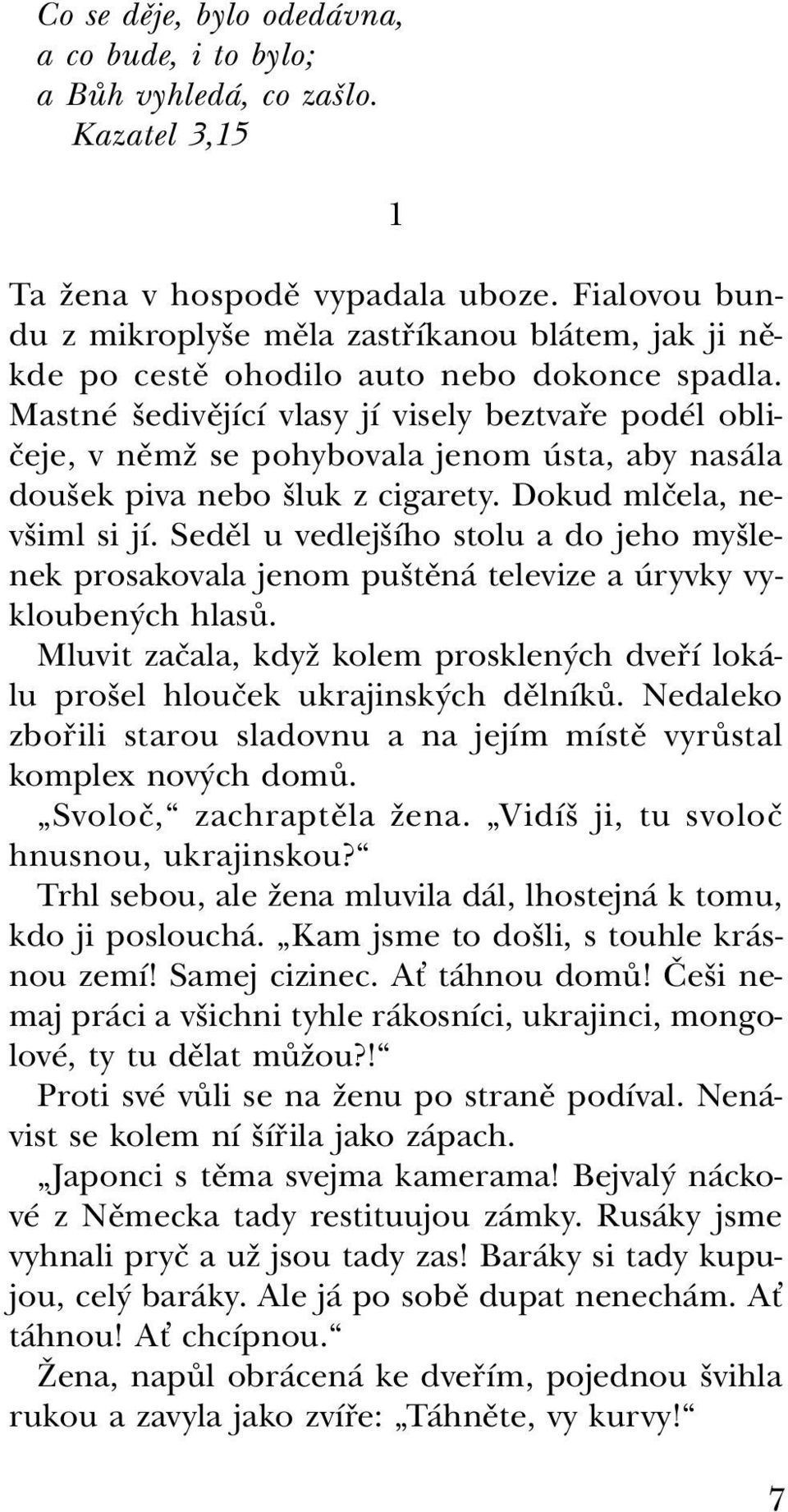 Mastné šedivějící vlasy jí visely beztvaře podél obličeje, v němž se pohybovala jenom ústa, aby nasála doušek piva nebo šluk z cigarety. Dokud mlčela, nevšiml si jí.