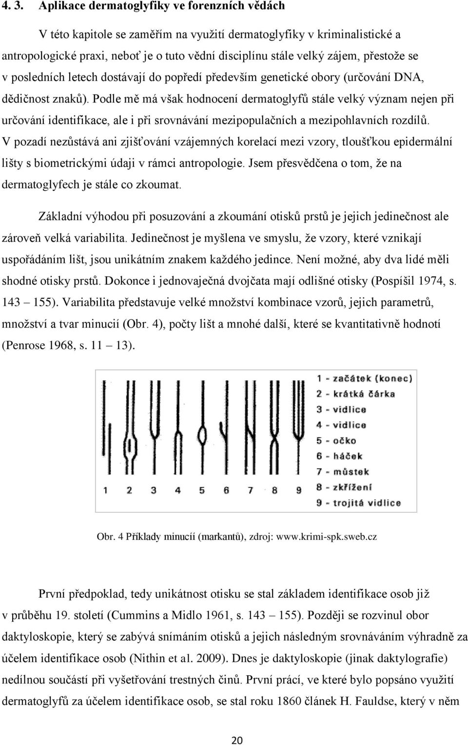 Podle mě má však hodnocení dermatoglyfů stále velký význam nejen při určování identifikace, ale i při srovnávání mezipopulačních a mezipohlavních rozdílů.