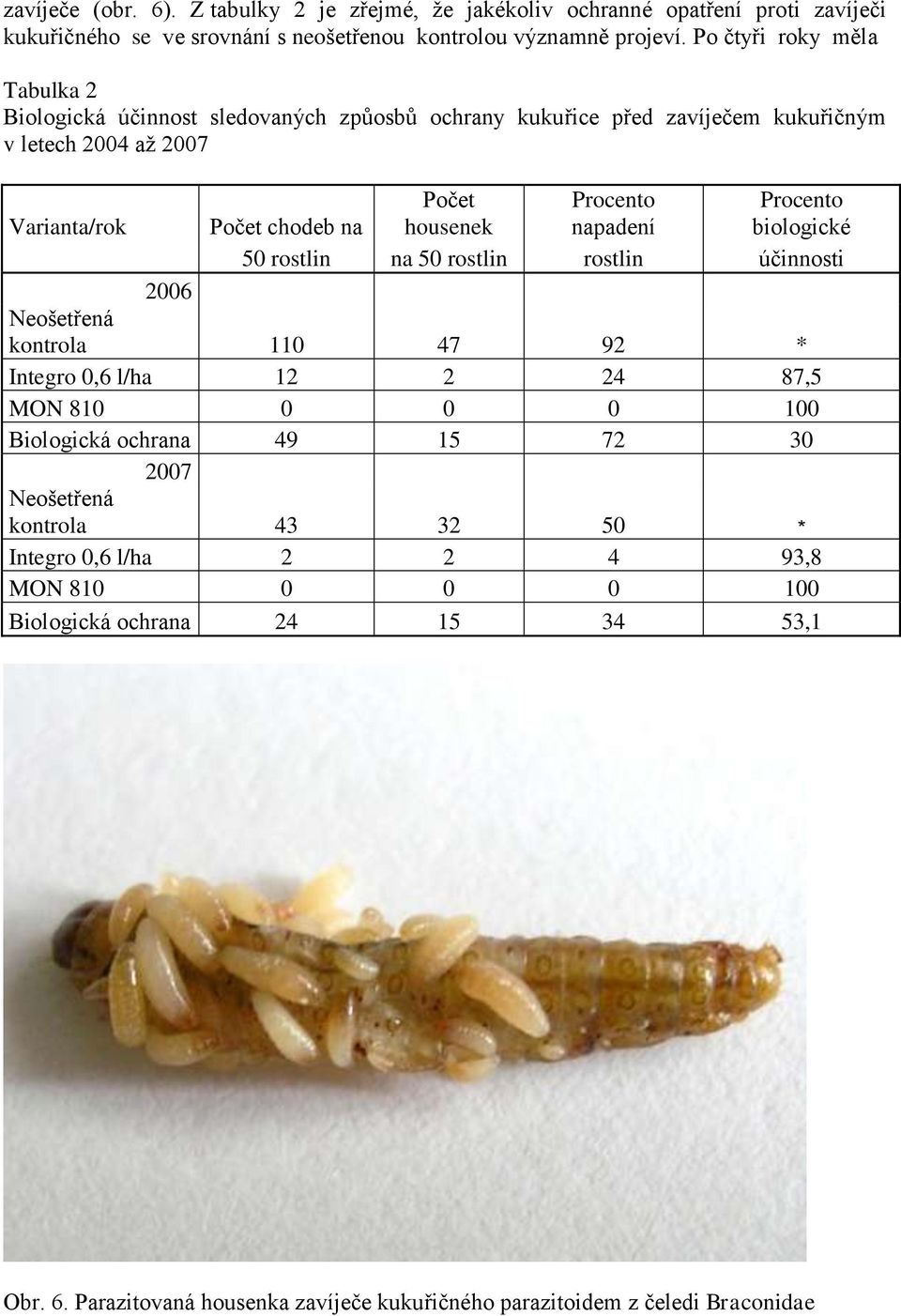 Procento napadení Procento biologické 50 rostlin na 50 rostlin rostlin účinnosti 2006 Neošetřená kontrola 110 47 92 * Integro 0,6 l/ha 12 2 24 87,5 MON 810 0 0 0 100 Biologická