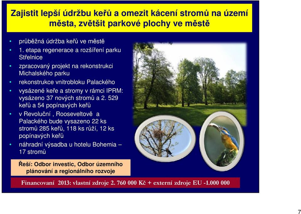 IPRM: vysázeno 37 nových stromů a 2.
