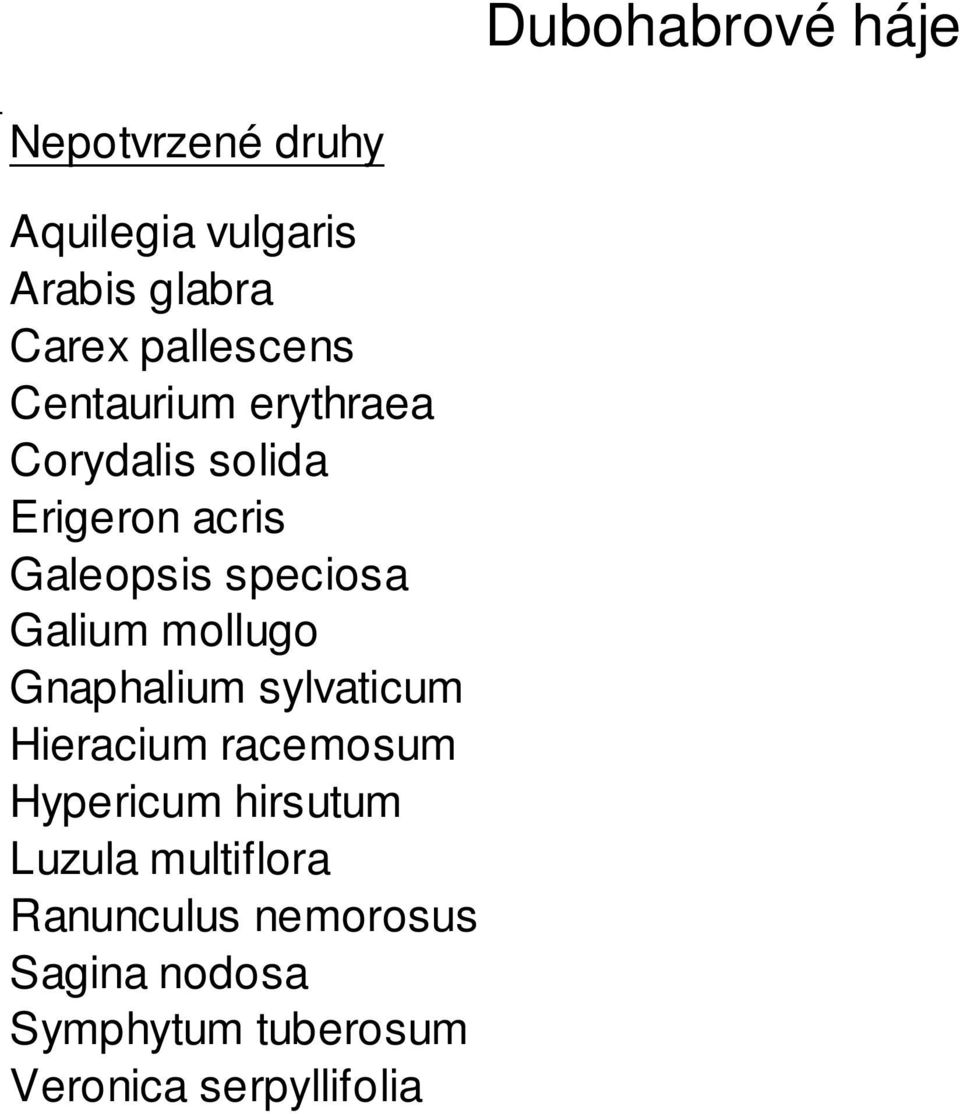 speciosa Galium mollugo Gnaphalium sylvaticum Hieracium racemosum Hypericum