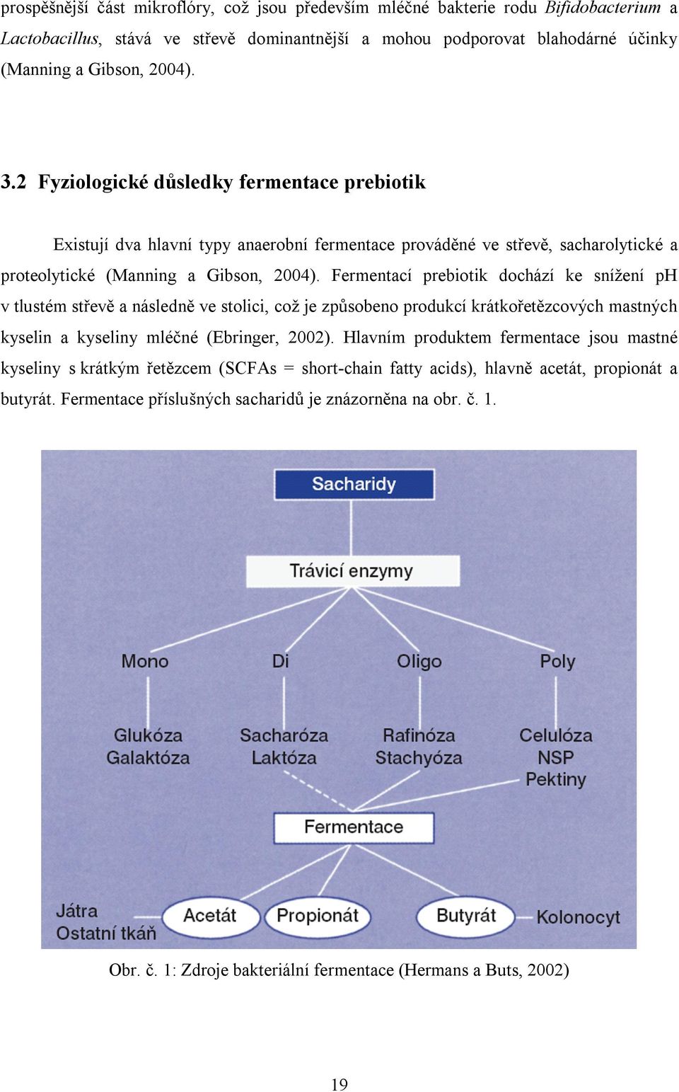 Fermentací prebiotik dochází ke snížení ph v tlustém střevě a následně ve stolici, což je způsobeno produkcí krátkořetězcových mastných kyselin a kyseliny mléčné (Ebringer, 2002).