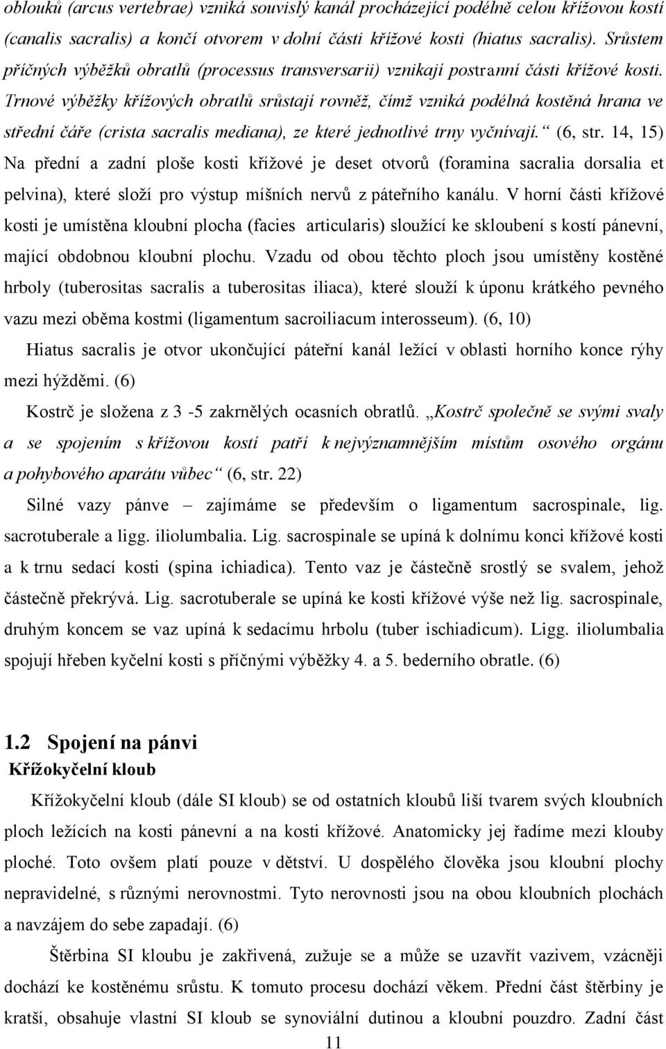 Trnové výběžky křížových obratlů srůstají rovněž, čímž vzniká podélná kostěná hrana ve střední čáře (crista sacralis mediana), ze které jednotlivé trny vyčnívají. (6, str.