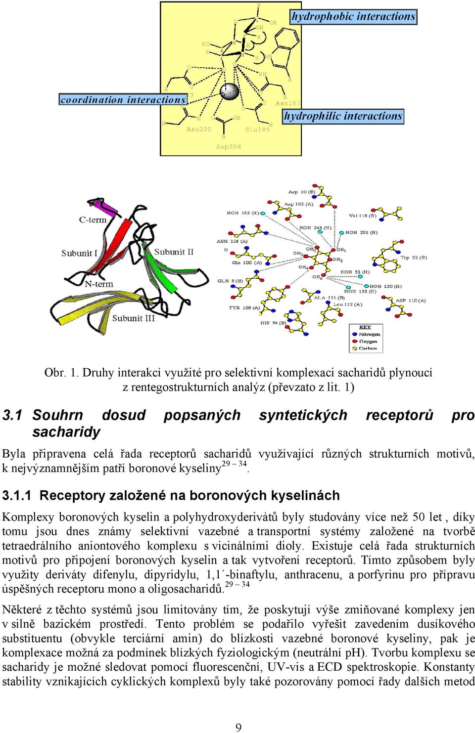 3.1.1 Receptory založené na boronových kyselinách Komplexy boronových kyselin a polyhydroxyderivátů byly studovány více než 50 let, díky tomu jsou dnes známy selektivní vazebné a transportní systémy