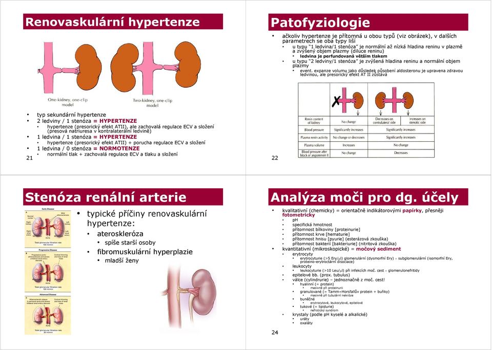 expanze volumu jako důsledek ů působení ů aldosteronu je upravena zdravou ledvinou, ale presorický efekt AT II zůstává typ sekundární hypertenze 2 ledviny / 1 stenóza = HYPERTENZE hypertenze