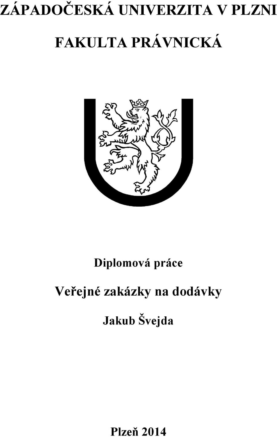 Diplomová práce Veřejné