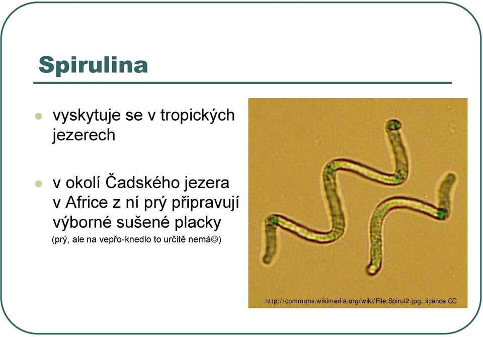 sušené placky (prý, ale na vepřo-knedlo to určitě nemá )